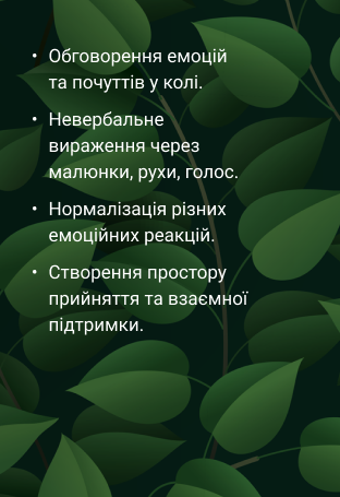 Frame 29