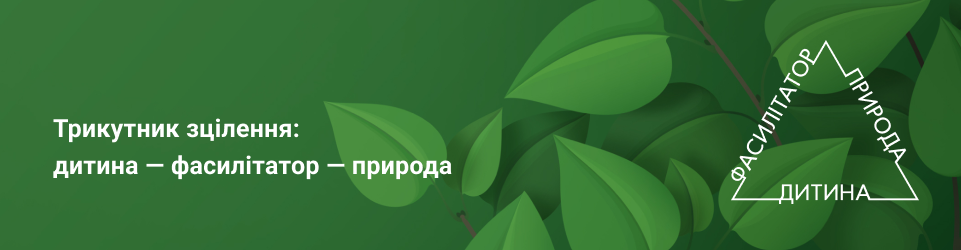 Картинка 5